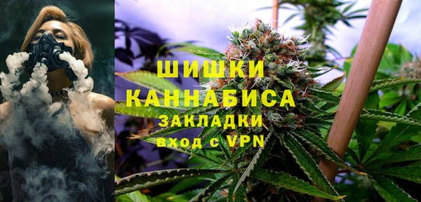 a pvp Новозыбков