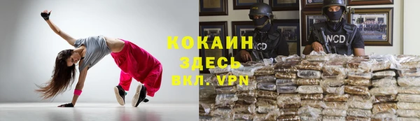 a pvp Новозыбков