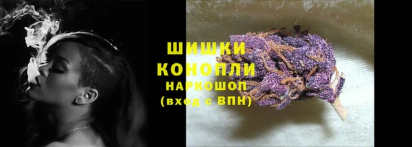 a pvp Новозыбков