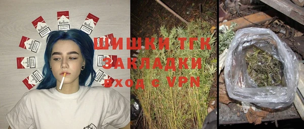 a pvp Новозыбков