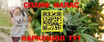крисы Гусев