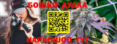 гидропоника Гусь-Хрустальный