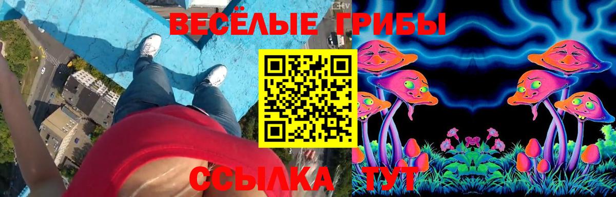 Галлюциногенные грибы ЛСД Новокузнецк