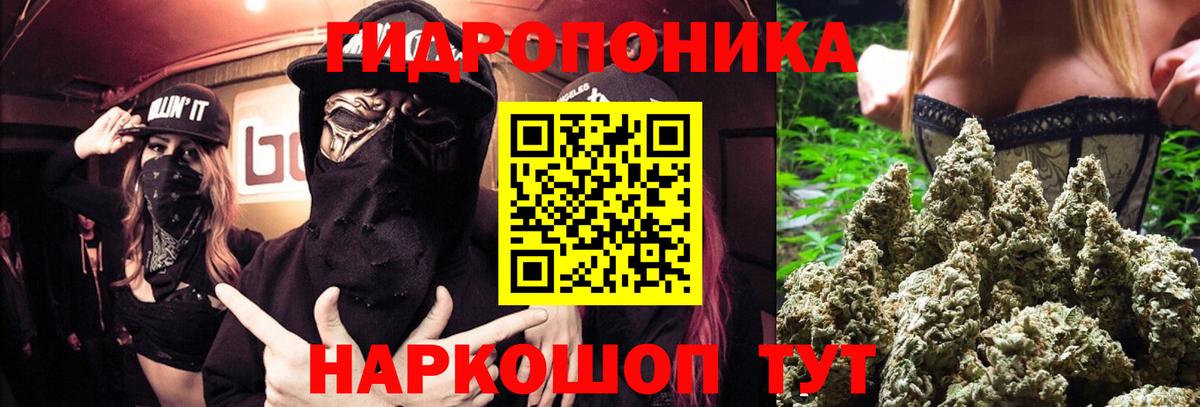 Канабис White Widow  Вход с VPN  Бошки марихуана план  Новокузнецк  Марихуана марихуана 